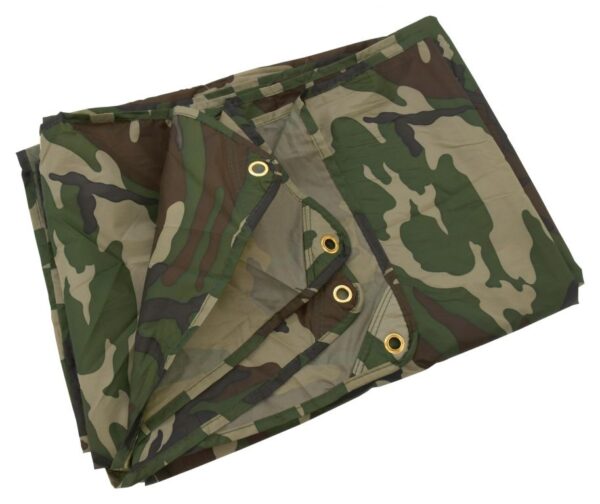 1632397561-956459-big