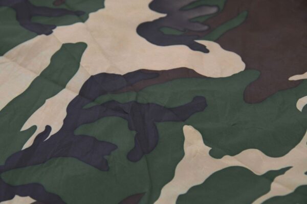 1632397562-399716-big