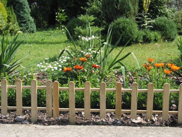 1692978995-50653-big