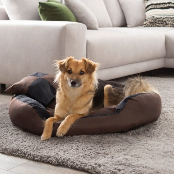 1652417569-979976-big