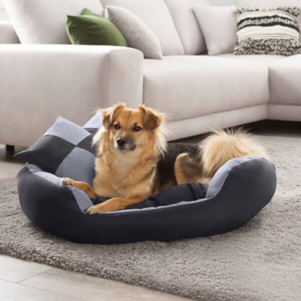 1652417581-593627-big