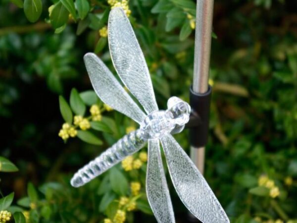 1541955354-744483-big