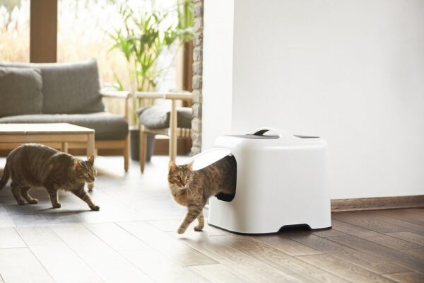 1658807800-770209-big