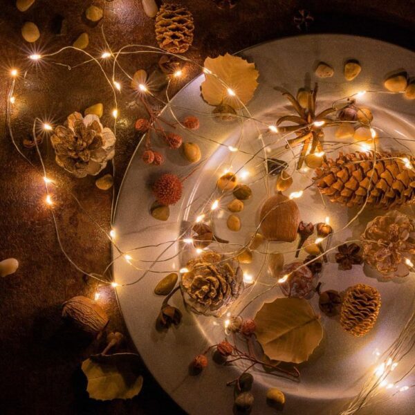 1602231230-771319-big