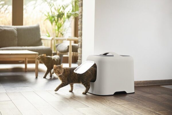 1657684612-574875-big