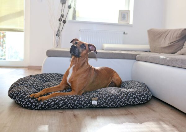 1629777338-138884-big