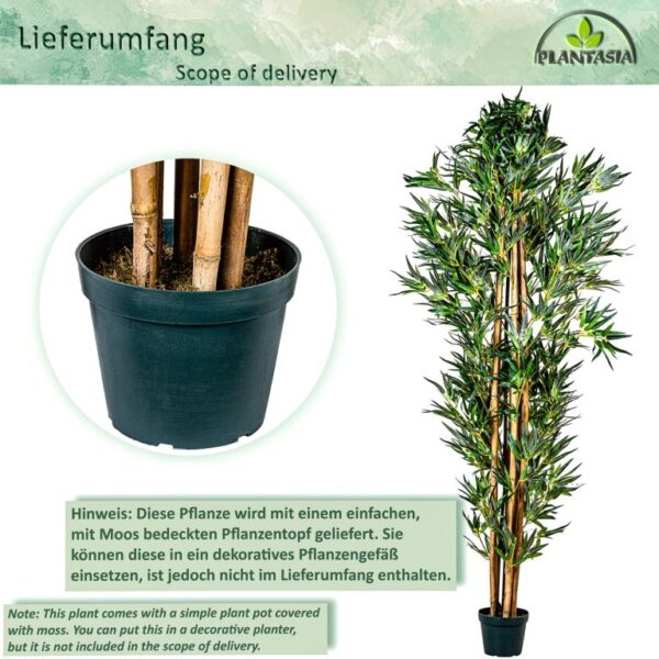 1651045973-148548-big