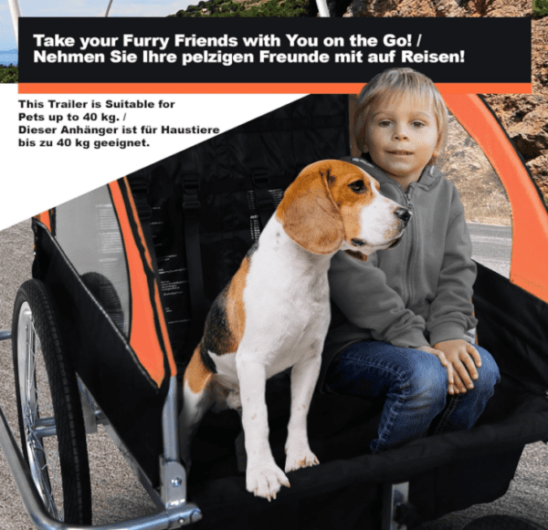 1762353044-24933-big