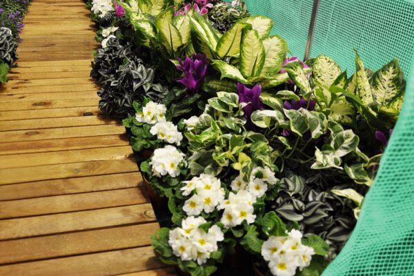 1519203844-916832-big