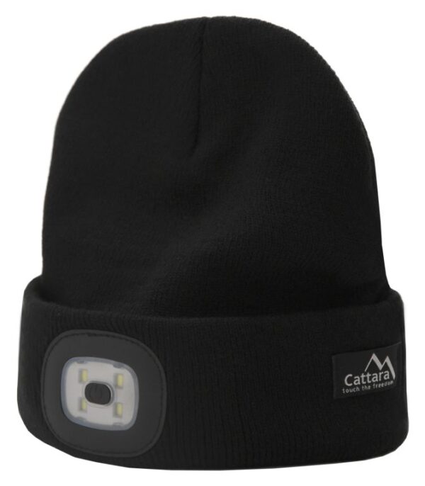 1675951557-239727-big