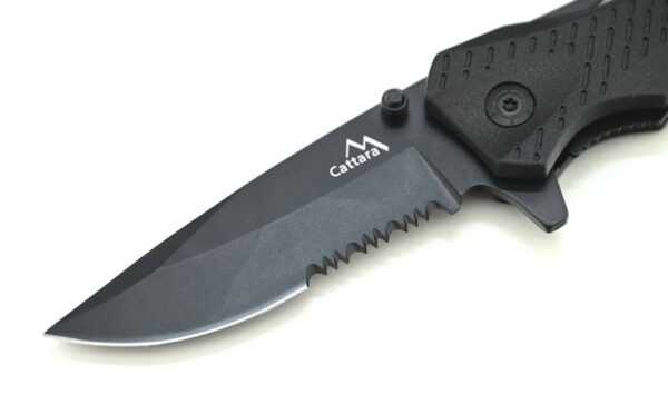 1740483936-785062-big