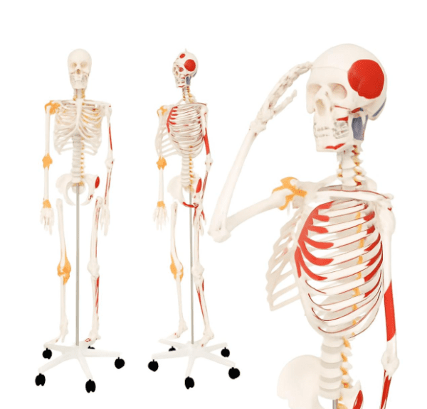 1764166587-591981-big