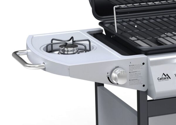 1555494499-110652-big