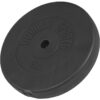 Gorilla Sports Zátěžový kotouč 15 kg plast/cement